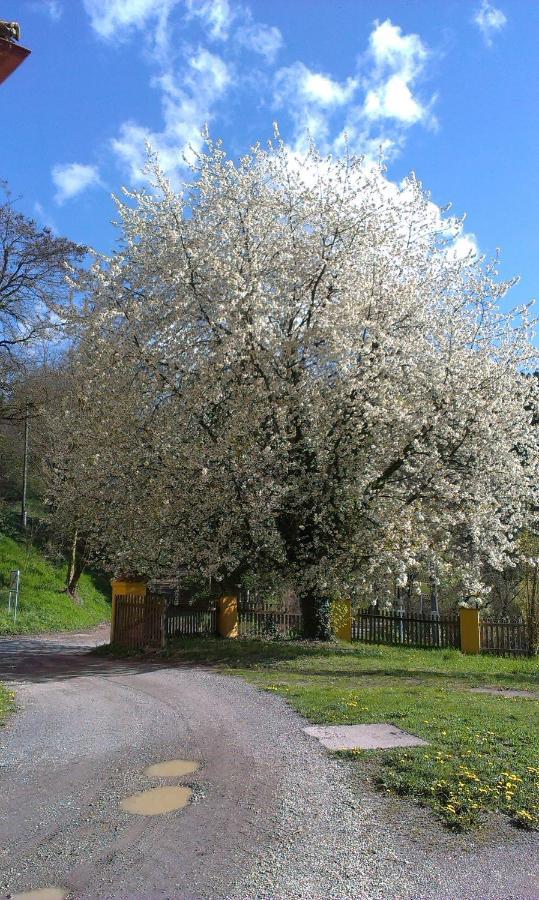 Ferienwohnung Ottmanach Josefhof Pischeldorf Екстериор снимка