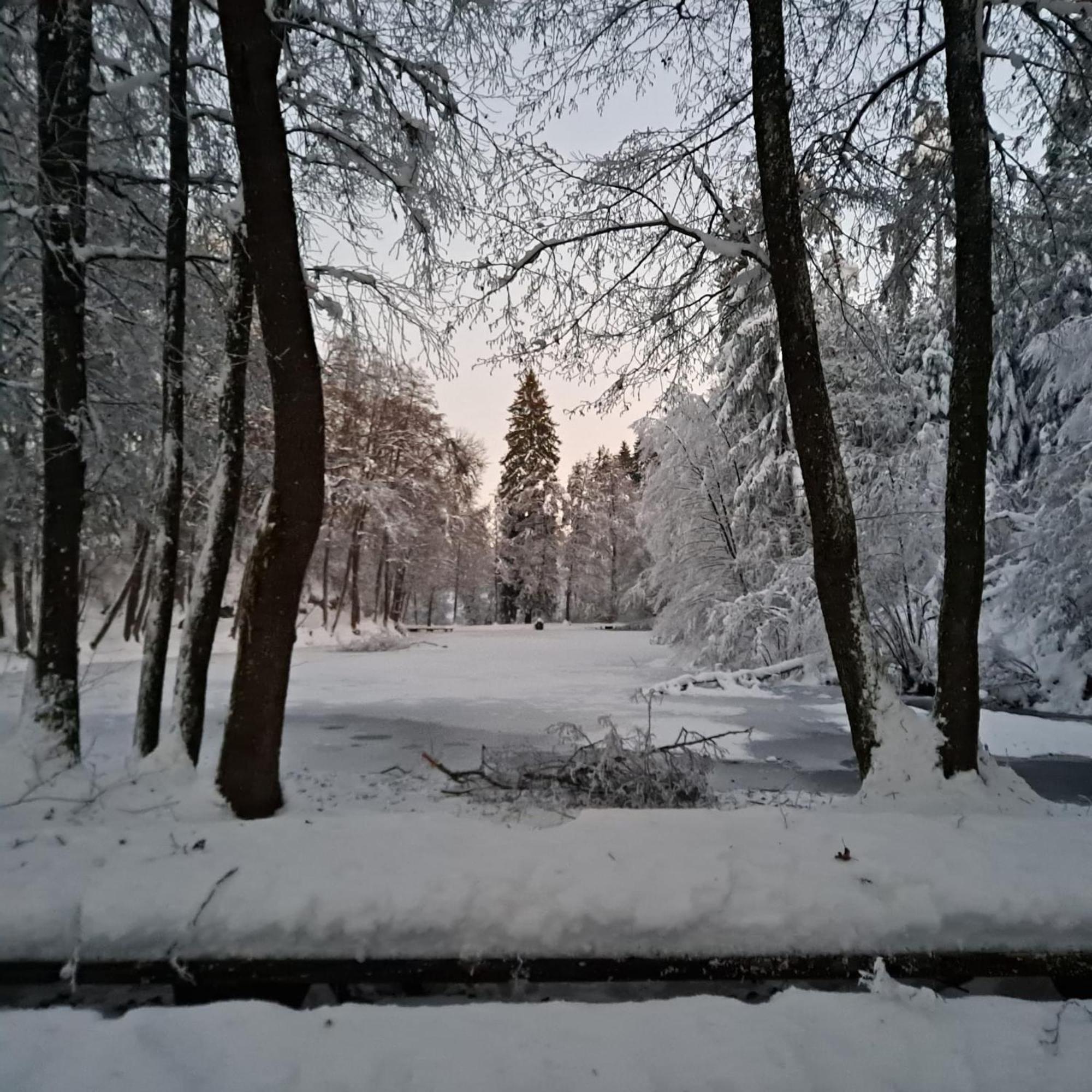 Ferienwohnung Ottmanach Josefhof Pischeldorf Екстериор снимка