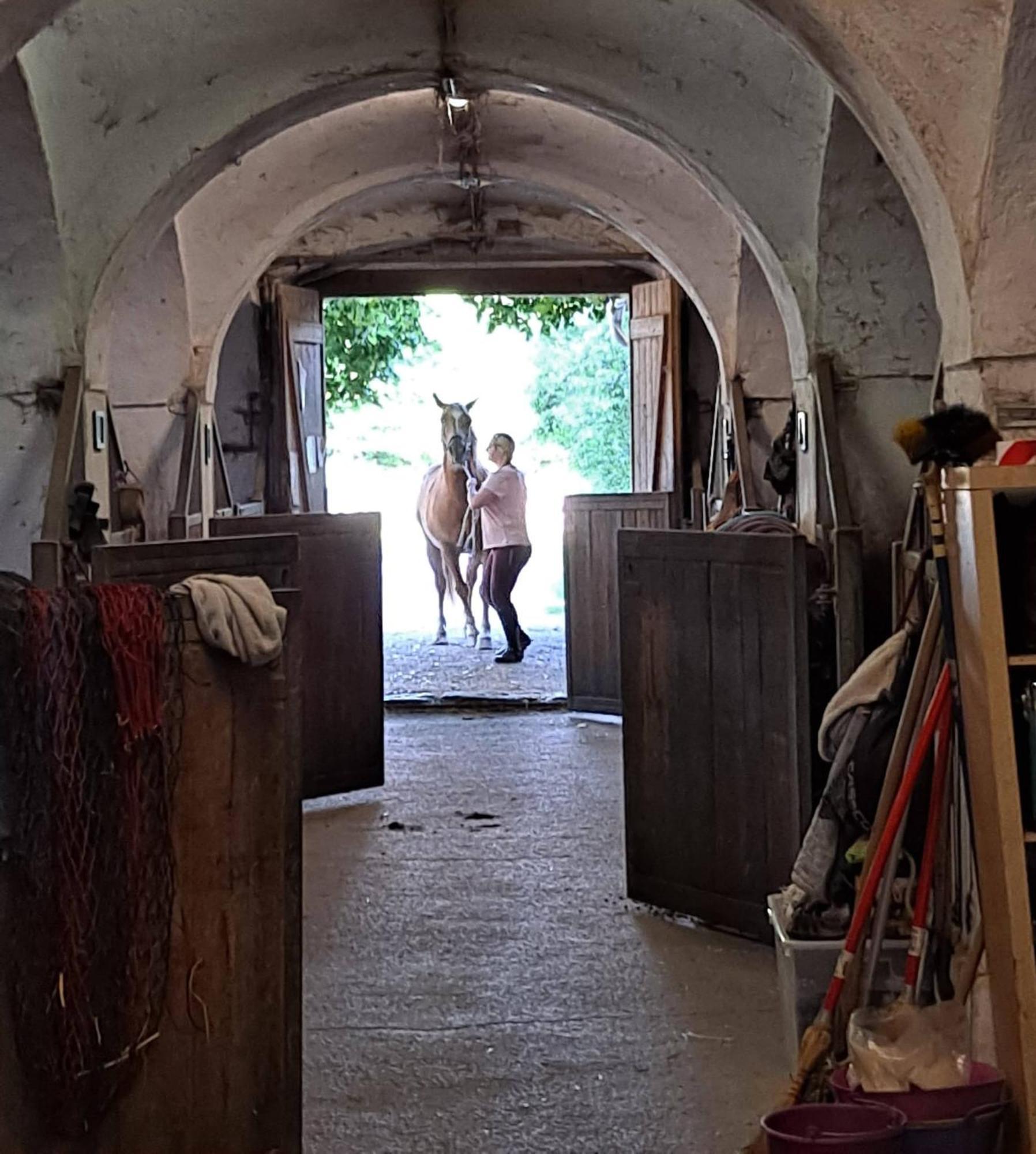 Ferienwohnung Ottmanach Josefhof Pischeldorf Екстериор снимка